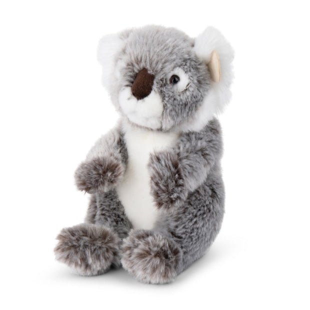 Koala - 22cm