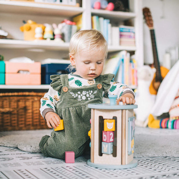 FSC Rolling Activity Sorter