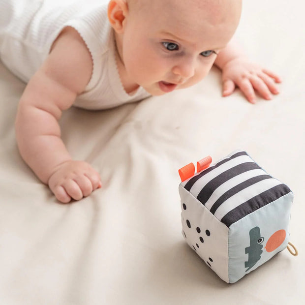 Contrast Baby Cube