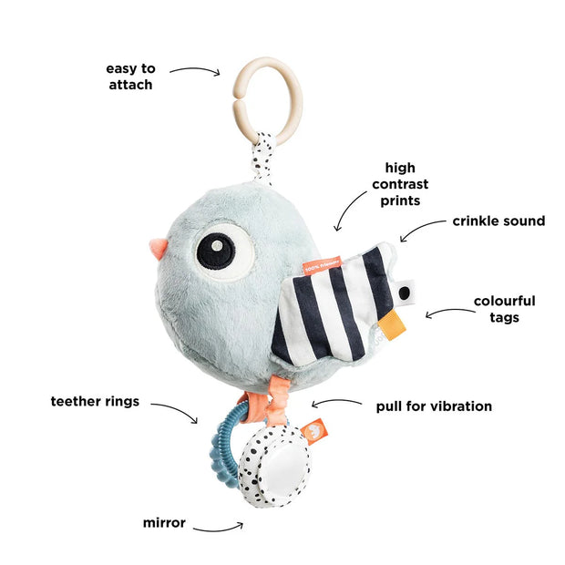 Activity Sensory Toy Birdee