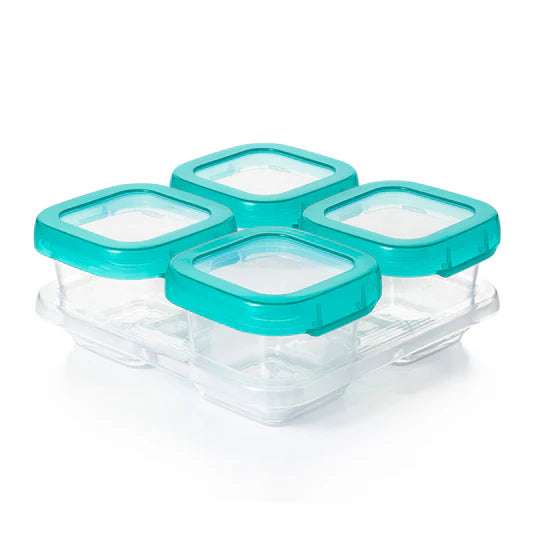 Baby Blocks Freezer Storage Container Set VARIOUS SIZES