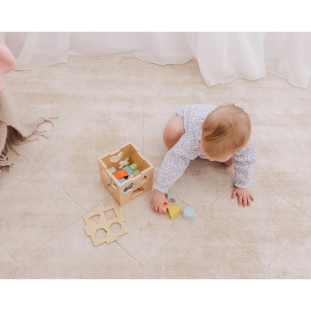 Wooden Shape Sorting Cube