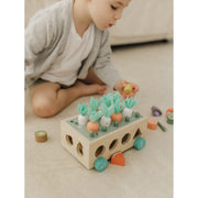 Bubble Wooden Vegetable Garden