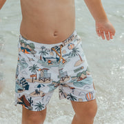 Board Shorts VARIOUS STYLES