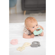 Rubber Flat Teether VARIOUS STYLES