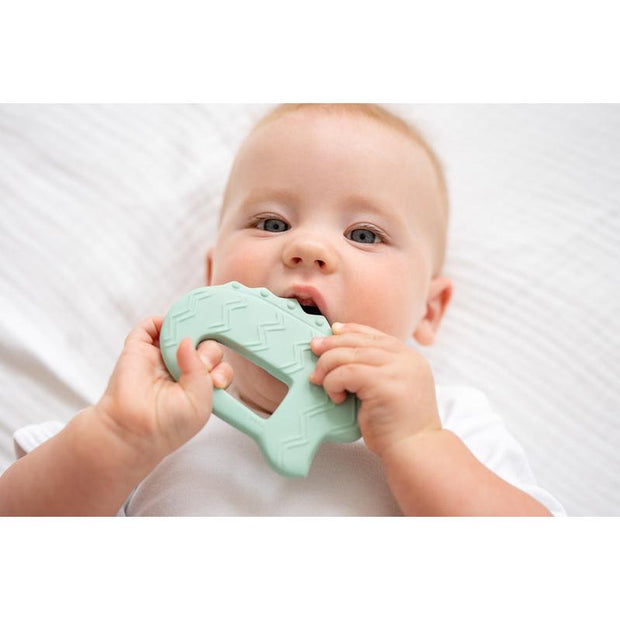 Rubber Flat Teether VARIOUS STYLES
