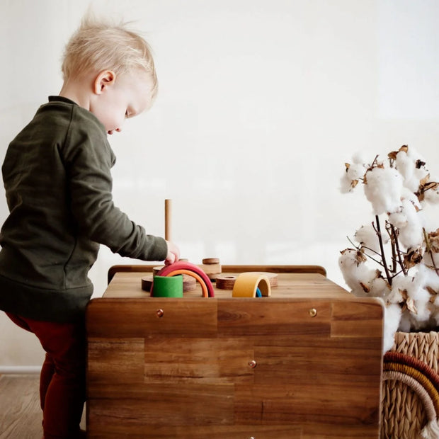 3 in 1 Toddler Chair