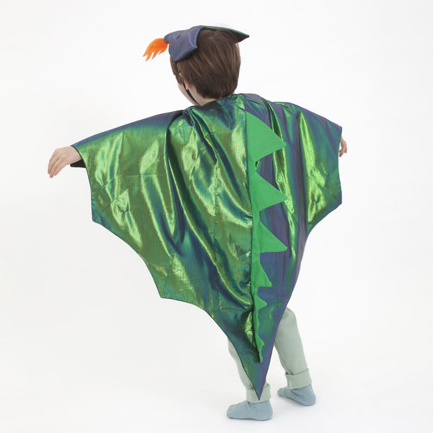 Dragon Costume