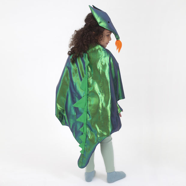 Dragon Costume