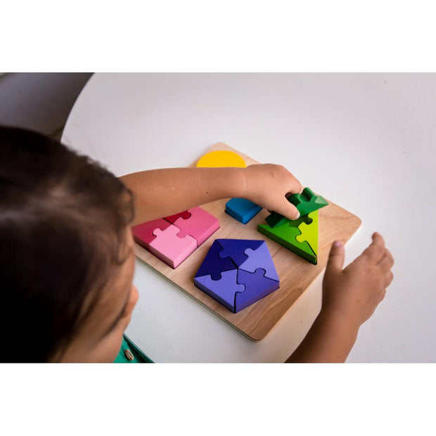 Jigsaw Shape Fraction Puzzle