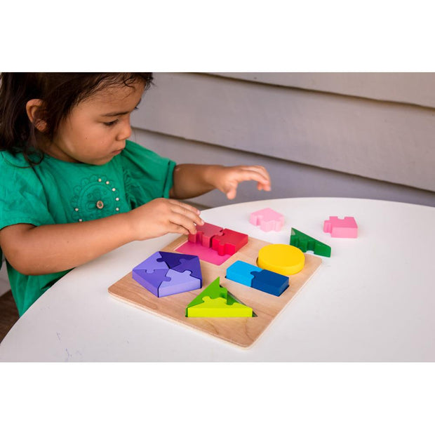 Jigsaw Shape Fraction Puzzle