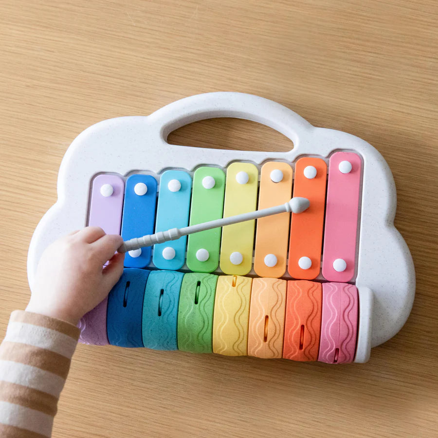 Rainbow Roller Xylophone - Main Image