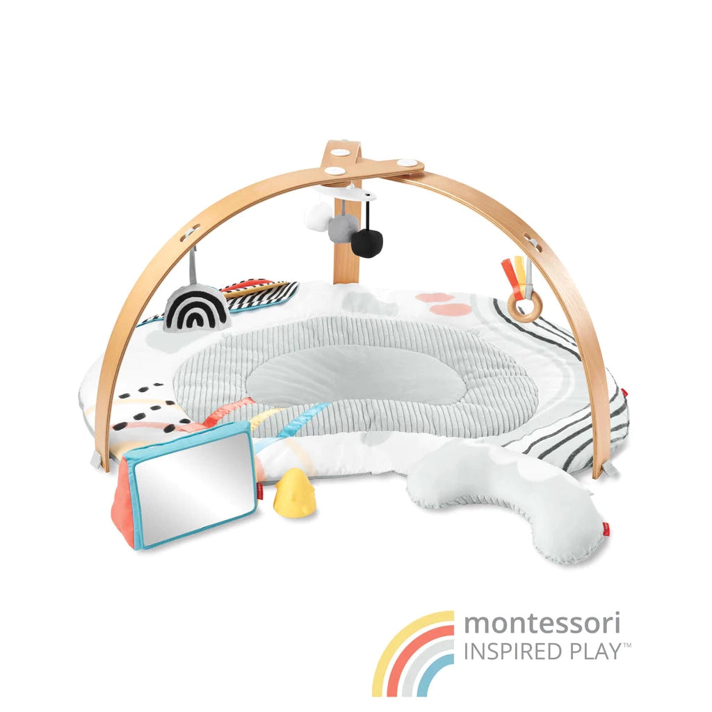 Discoverosity Deluxe Activity Gym Fun Engaging1