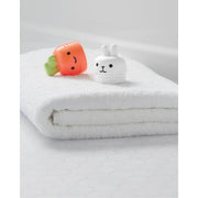 Tub to Table Café - Plant & Splash Set