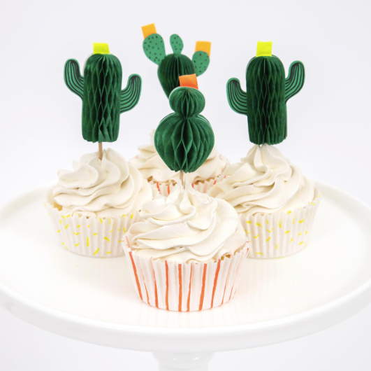 Cactus Cupcake Kit