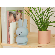 Miffy Money Box 19cm VARIOUS COLOURS