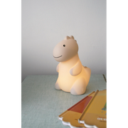 Jeroom Dino Night Light VARIOUS COLOURS