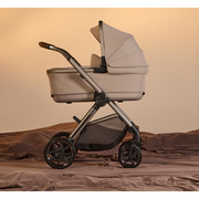 Reef 2 Special Edition (Frappe)