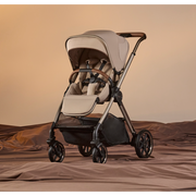 Reef 2 Special Edition (Frappe)