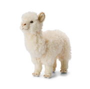 Alpaca White