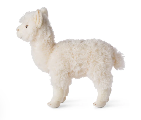 Alpaca White