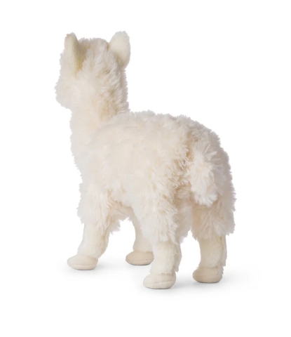 Alpaca White