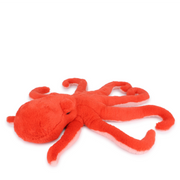 Eco Octopus