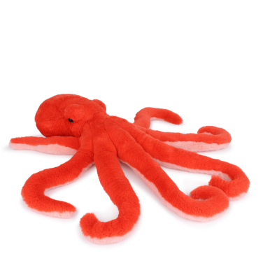 Eco Octopus