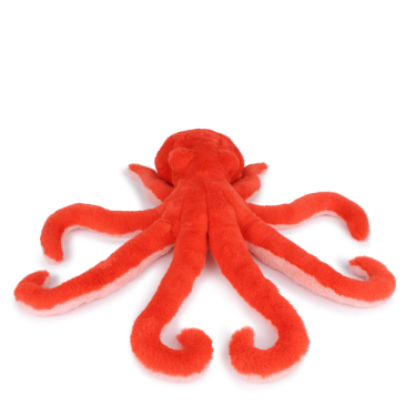 Eco Octopus