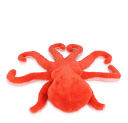 Eco Octopus
