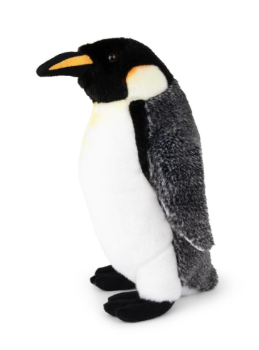 Emperor Penguin