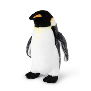 Emperor Penguin