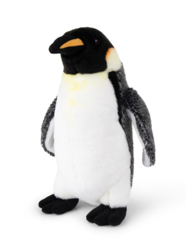 Emperor Penguin