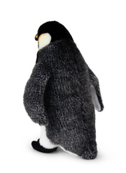 Emperor Penguin
