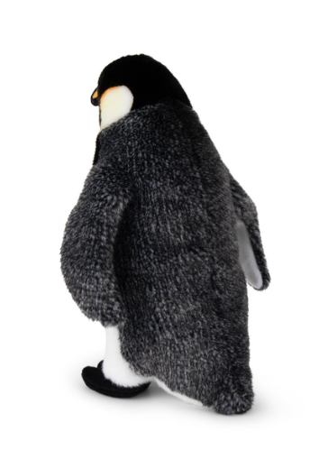 Emperor Penguin