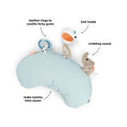 Tummy Time Activity Pillow VARIOUS COLOURS