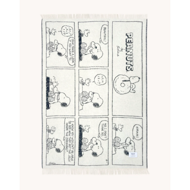Peanuts Blanket Comic Doughnut