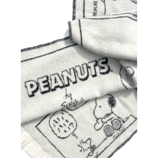 Peanuts Blanket Comic Doughnut