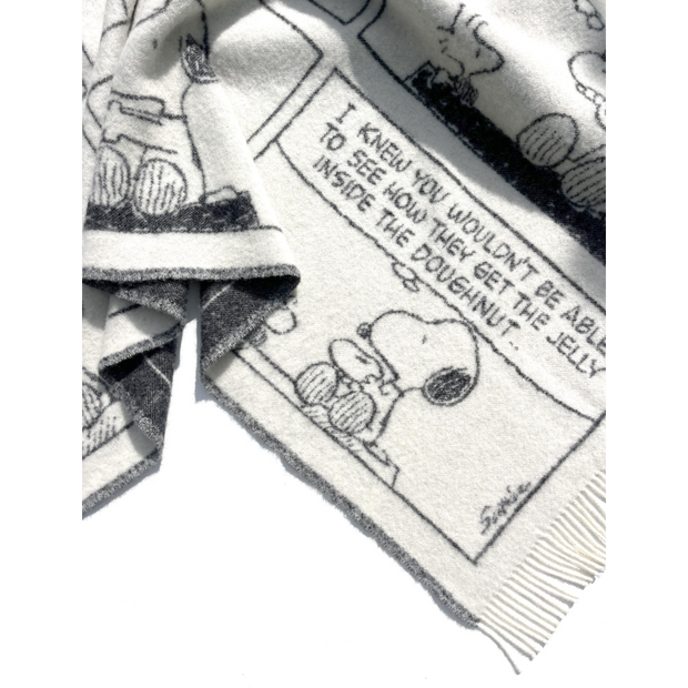 Peanuts Blanket Comic Doughnut