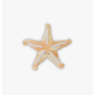 Sunny the Starfish