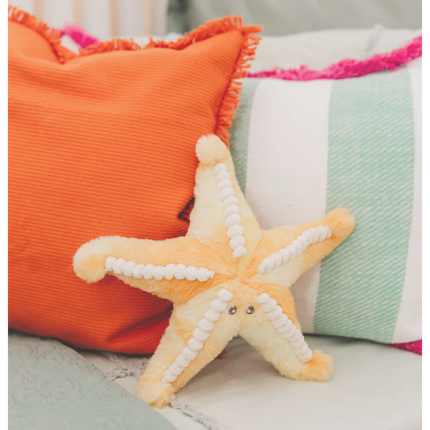 Sunny the Starfish