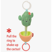 Farmstand Cactus Jitter Stroller Toy