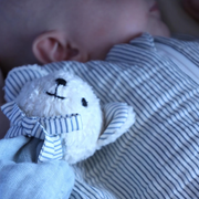Cuddle Cloth Bear VARIOUS COLOURS