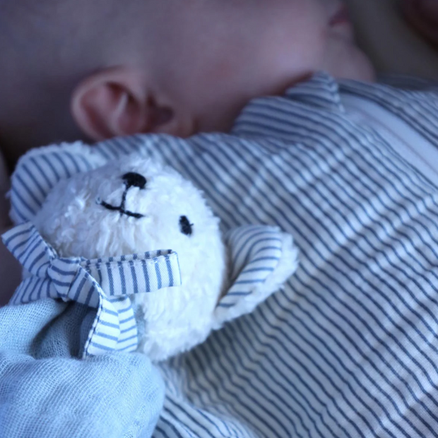 Cuddle Cloth Bear VARIOUS COLOURS
