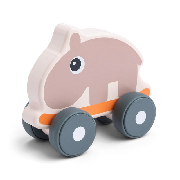 Ozzo Push Toy