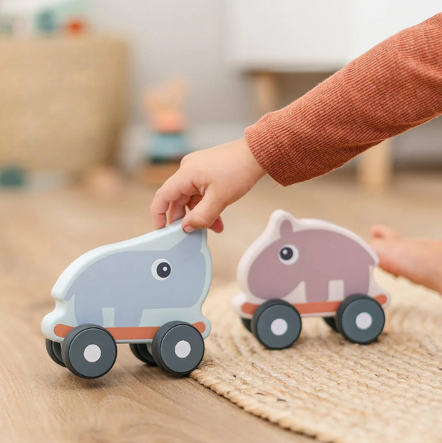 Ozzo Push Toy