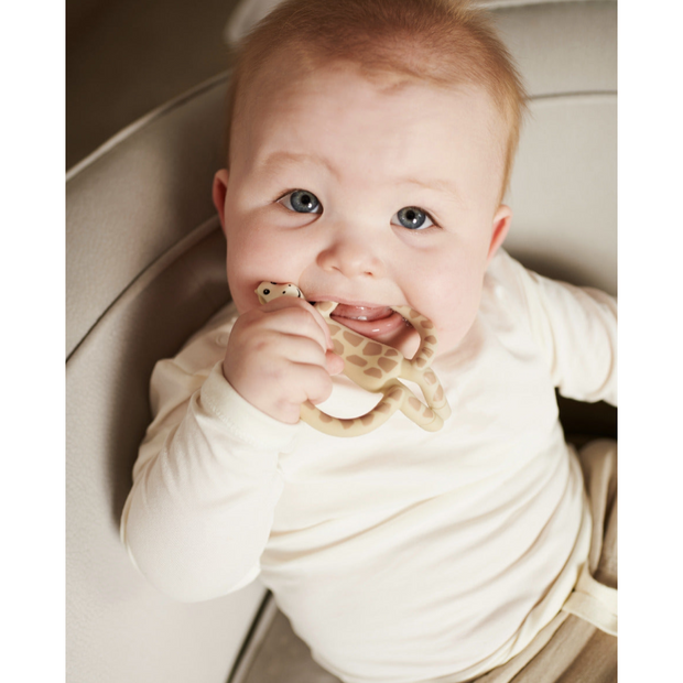 Antimircobial Animal Teether VARIOUS STYLES