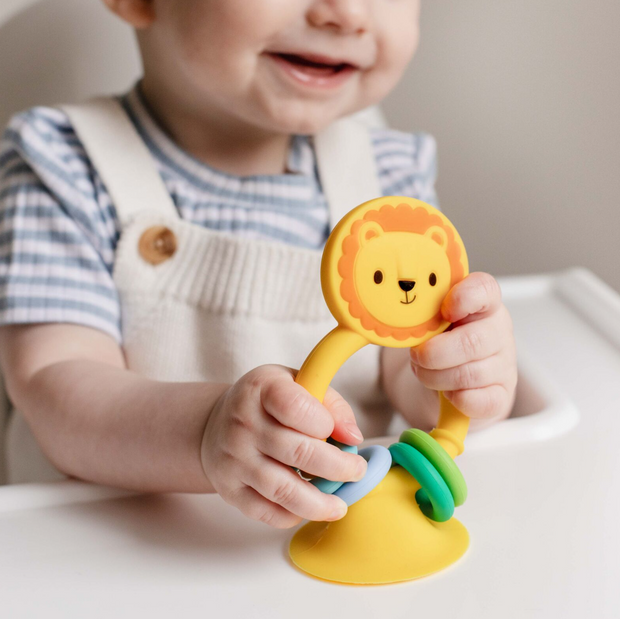 High Chair Buddy VARIOUS STYLES