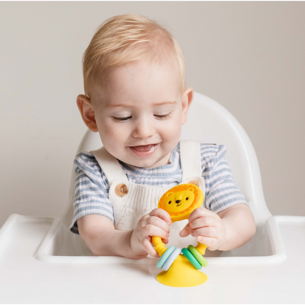 High Chair Buddy VARIOUS STYLES