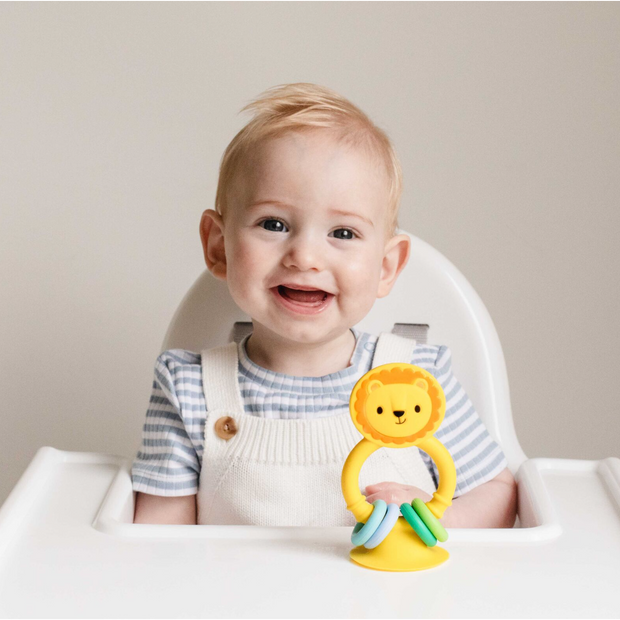 High Chair Buddy VARIOUS STYLES